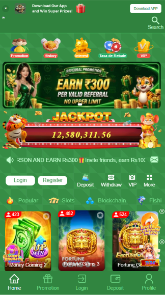 pkwg5d game interface