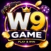 w9-icon