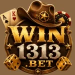 win1313-icon