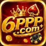 6ppp-icon